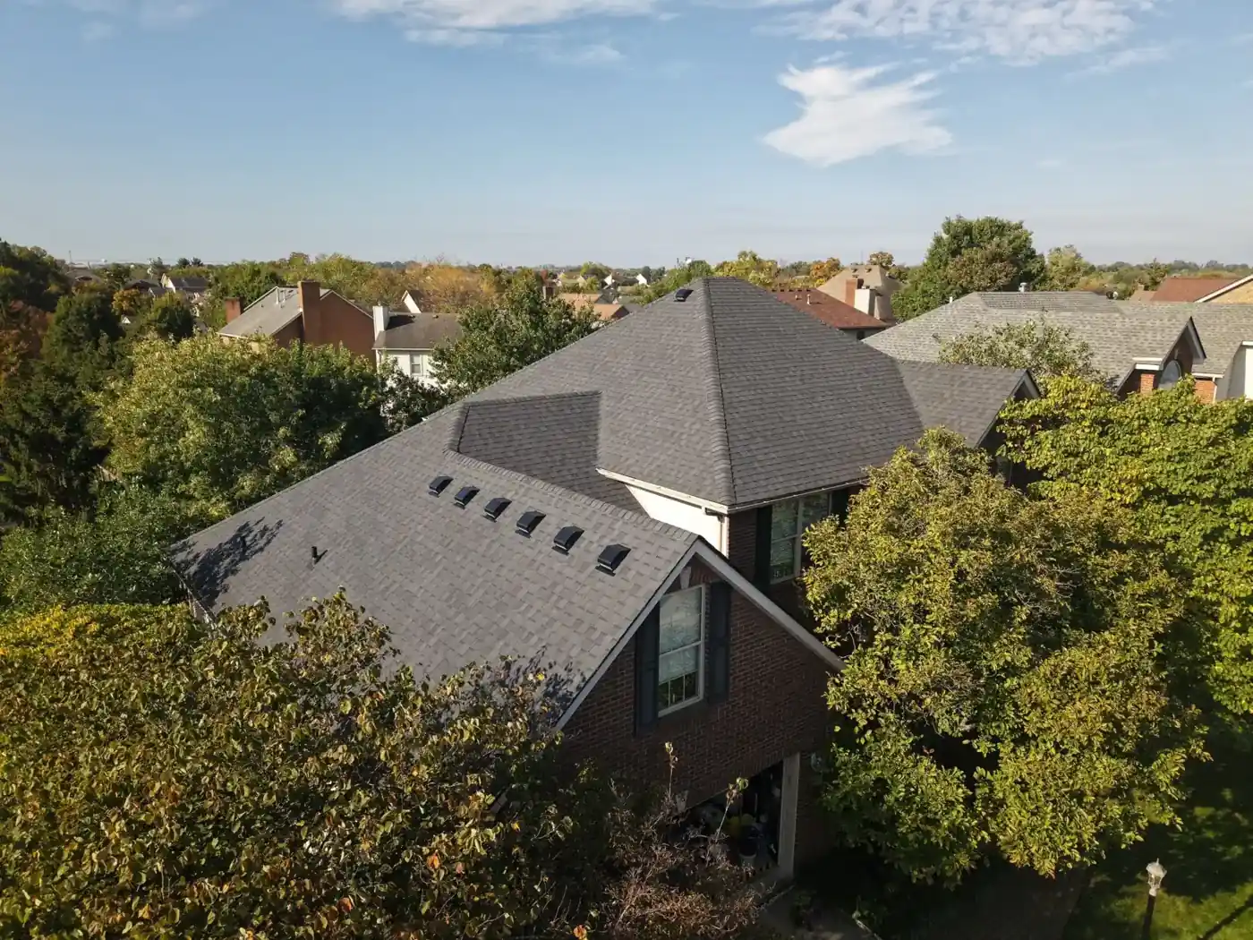 New roof seen over the trees